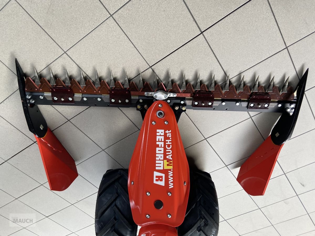 Motormäher typu Reform Motech M2.09D, Neumaschine v Burgkirchen (Obrázek 8)