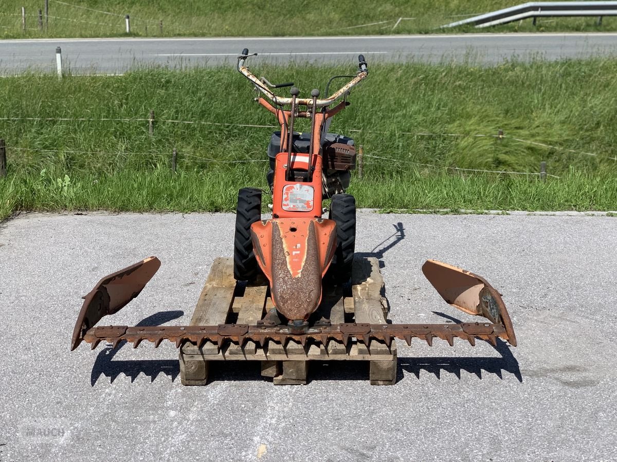 Motormäher des Typs Reform Motormäher 116 + 160cm Balken, Gebrauchtmaschine in Eben (Bild 2)