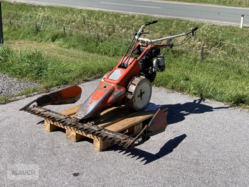 Motormäher des Typs Reform Motormäher 116, Gebrauchtmaschine in Eben (Bild 1)