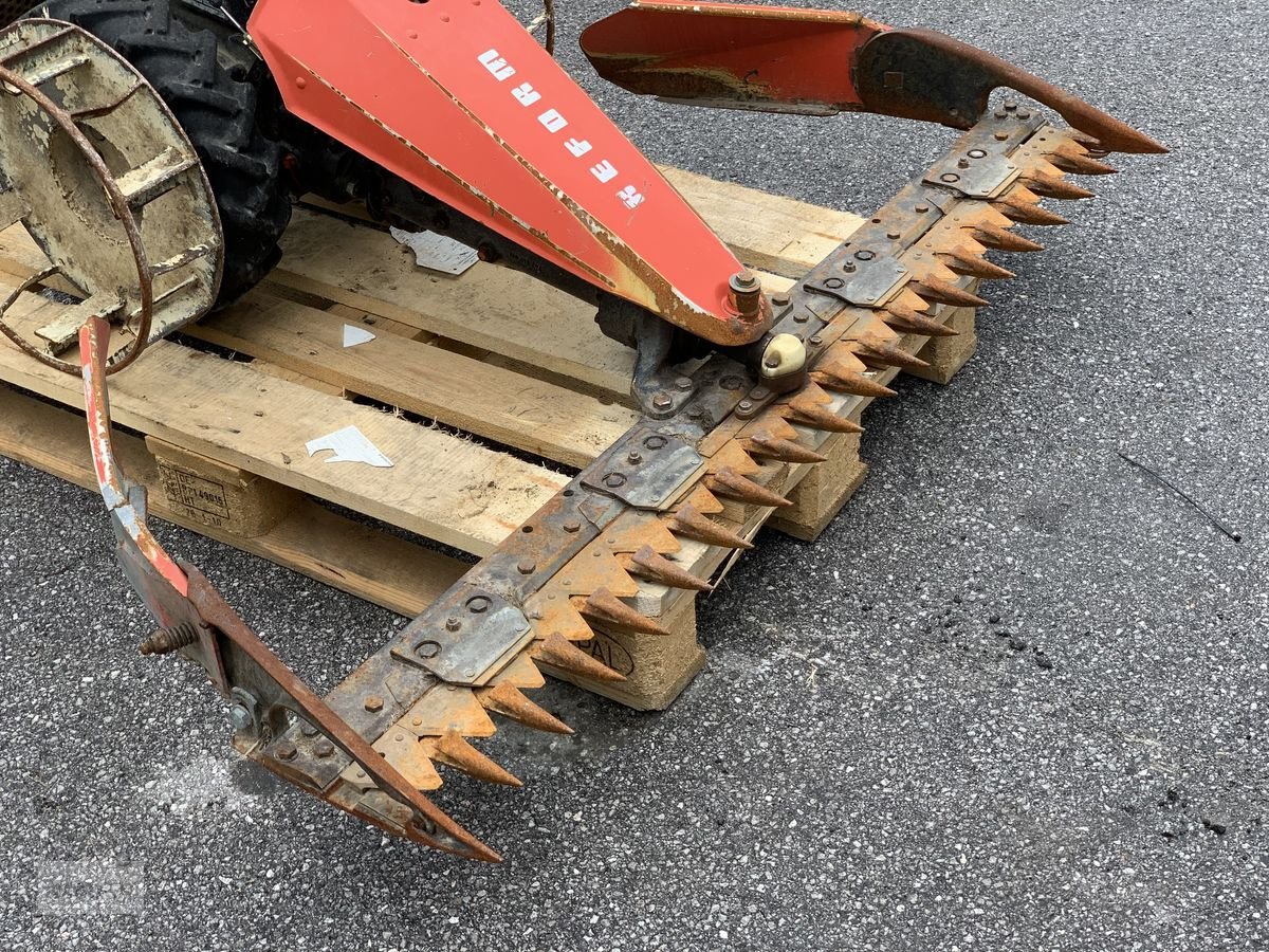 Motormäher typu Reform Motormäher 206, Gebrauchtmaschine v Eben (Obrázek 5)