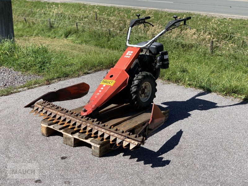 Motormäher des Typs Reform Motormäher 206, Gebrauchtmaschine in Eben (Bild 1)