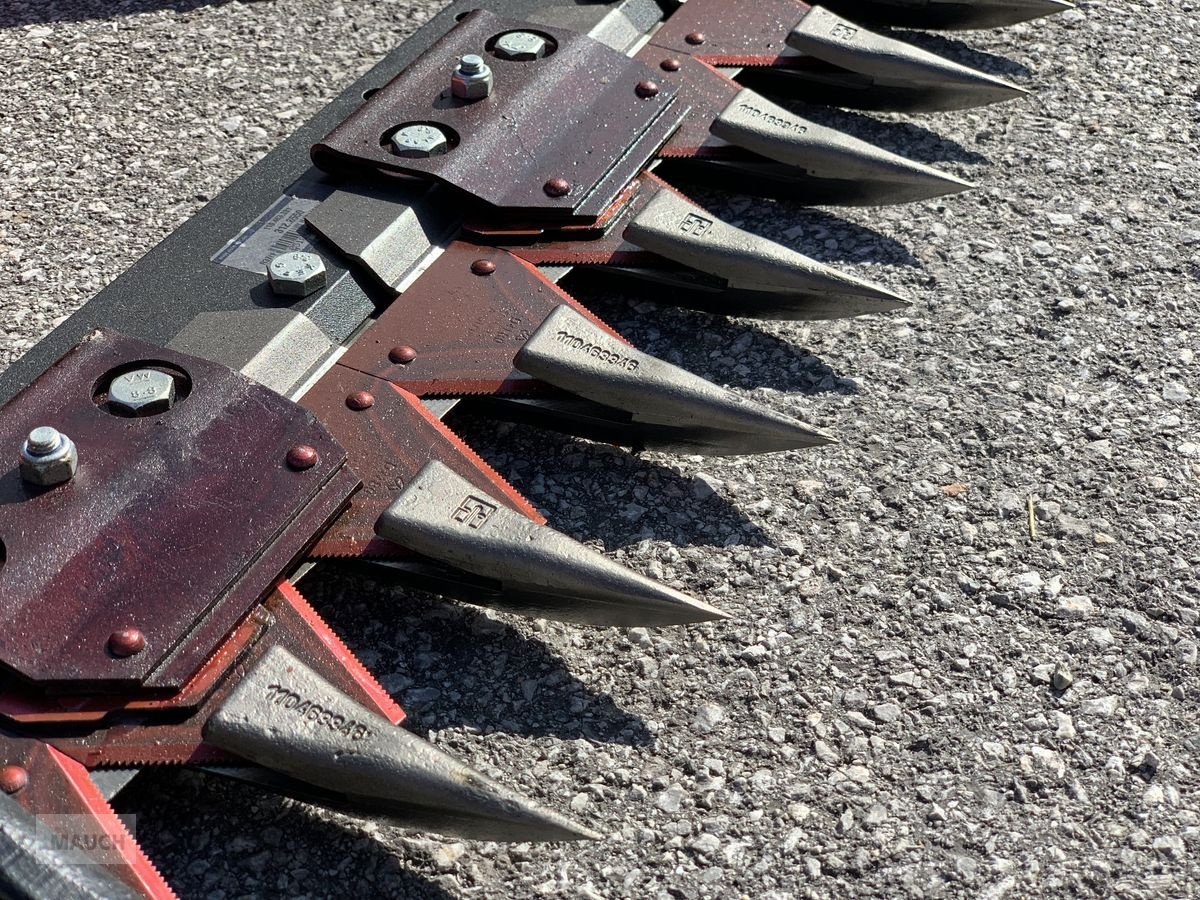 Motormäher of the type Reform Motormäher M2.09 D, Neumaschine in Eben (Picture 5)