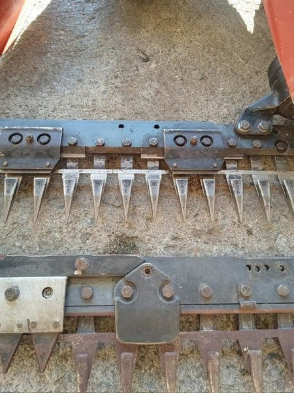 Motormäher van het type Reform Motormäher M2D 145cm Fingerbalken PRIVATVERKAUF, Gebrauchtmaschine in Tamsweg (Foto 4)