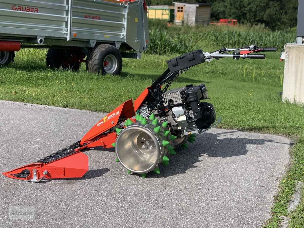 Motormäher of the type Reform Motormäher Motech RM 8.09, Neumaschine in Eben (Picture 13)