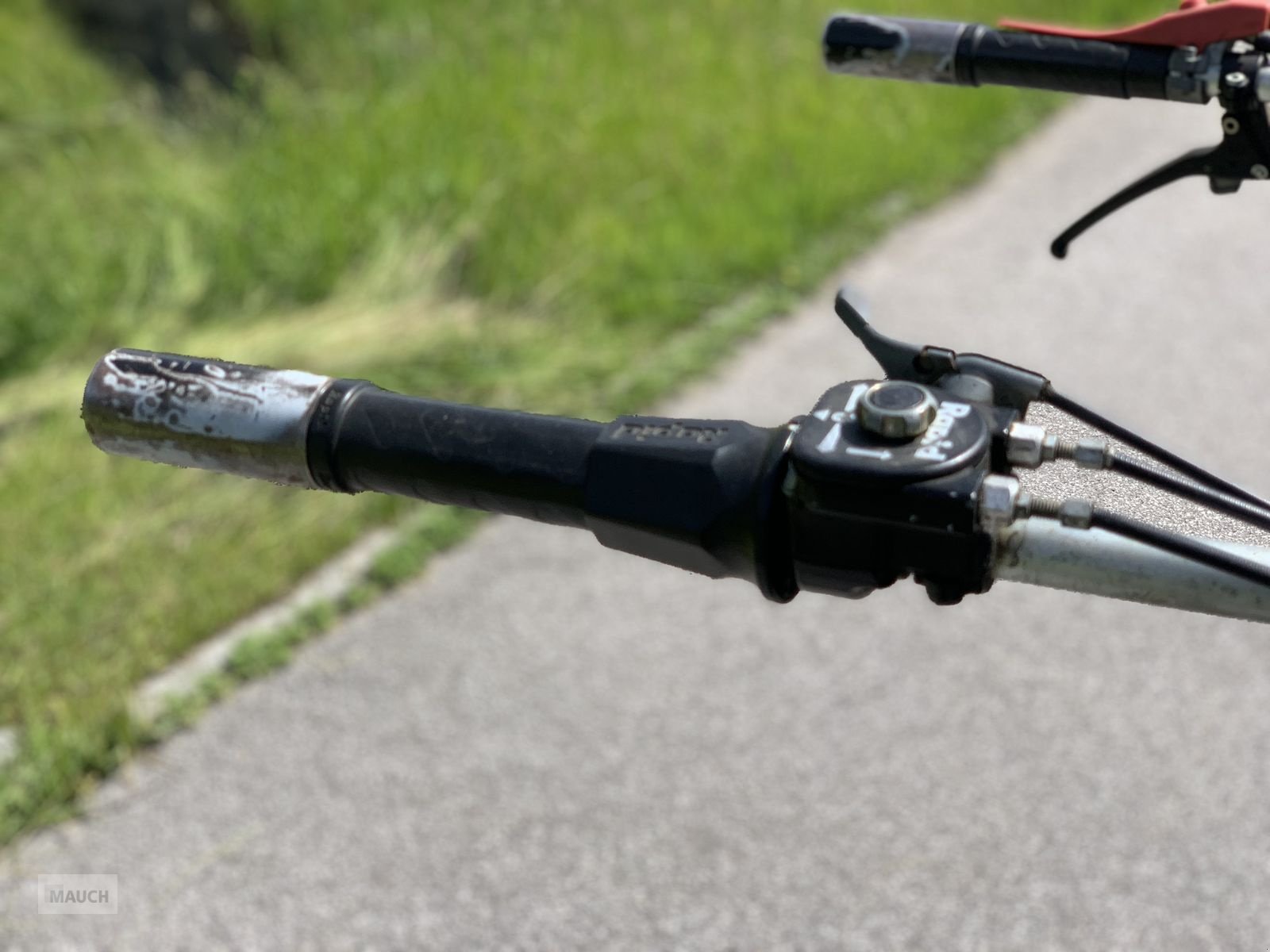 Motormäher des Typs Reform Motormäher RM8, Gebrauchtmaschine in Eben (Bild 7)