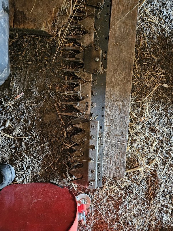 Motormäher от тип Reform Sonstiges, Ausstellungsmaschine в Gstaad/BE (Снимка 3)