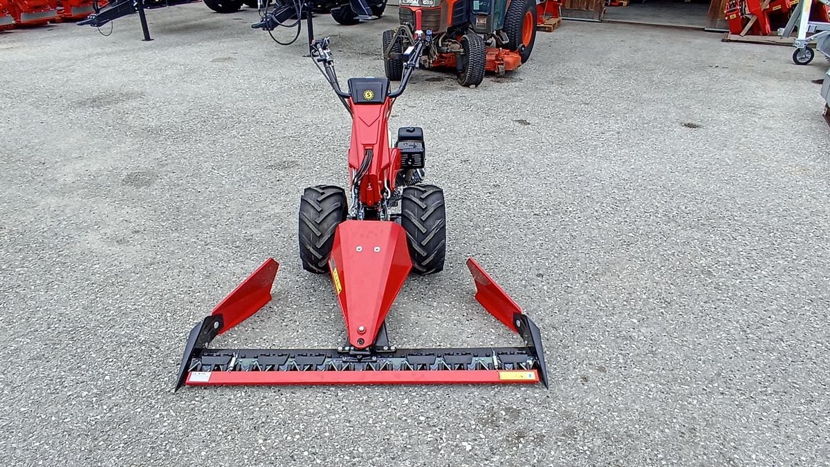 Motormäher des Typs Soma Alpin Profi Plus &#34;Neues Modell&#34;, Neumaschine in Grünbach (Bild 20)