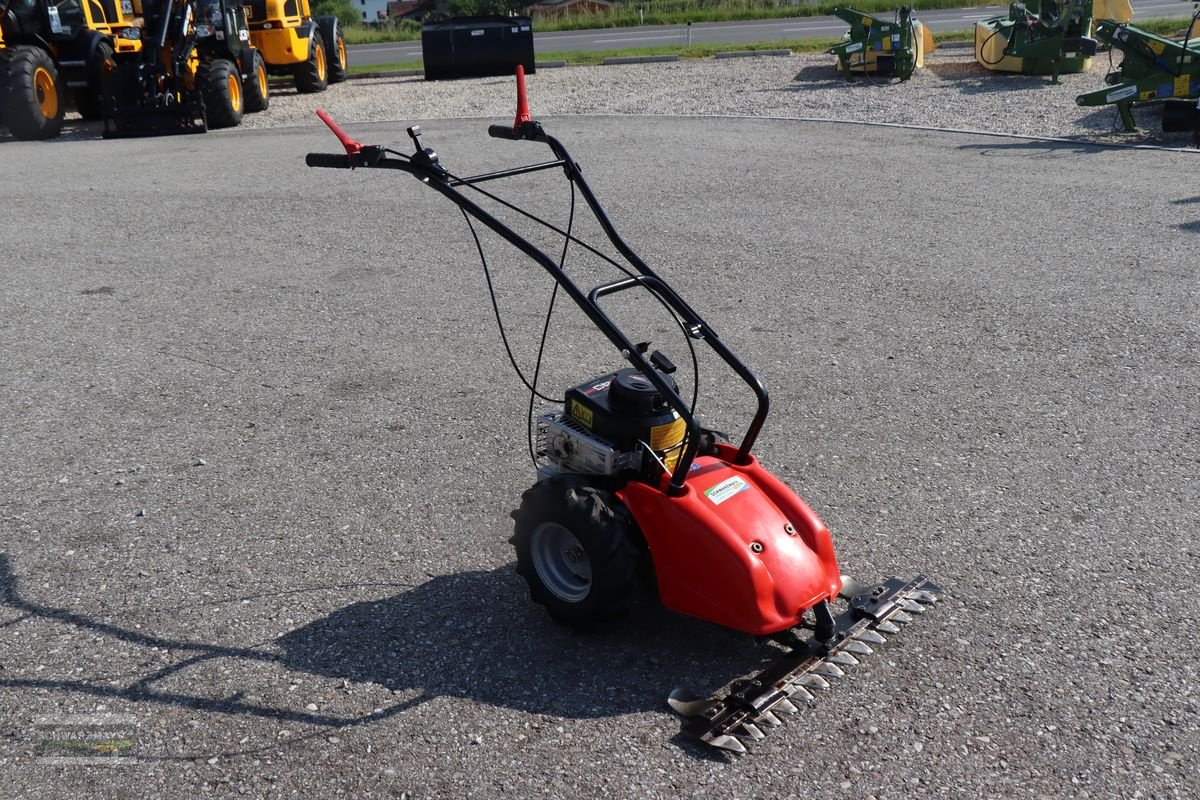 Motormäher des Typs Sonstige Benessi F170 Motormäher, Gebrauchtmaschine in Gampern (Bild 3)