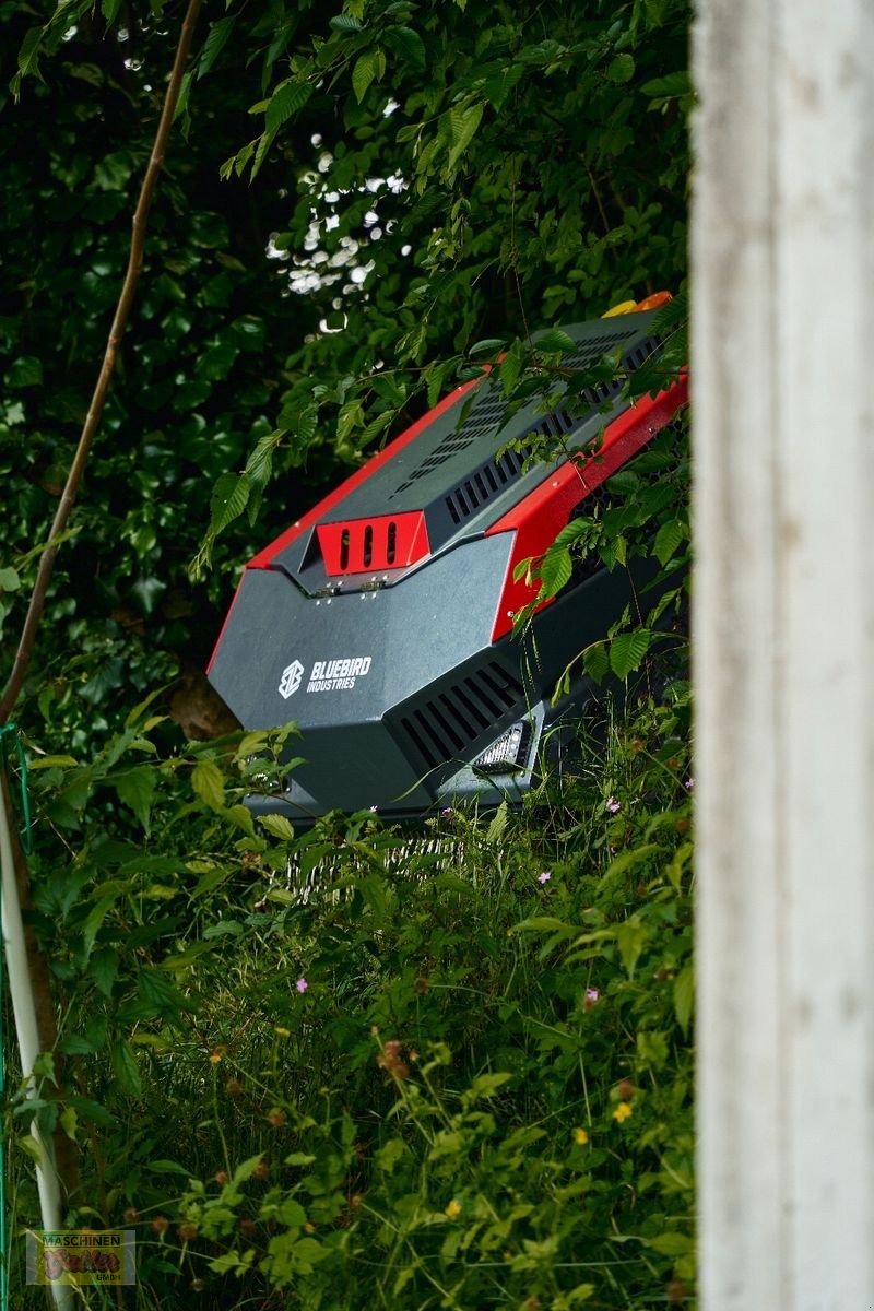 Motormäher des Typs Sonstige Bluebird FM24-70 Raupenmulcher mit Funk, Neumaschine in Kötschach (Bild 14)