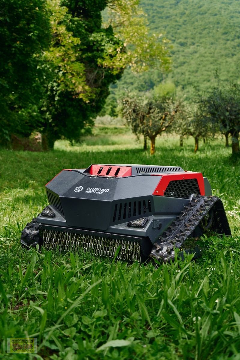Motormäher des Typs Sonstige Bluebird FM24-70 Raupenmulcher mit Funk, Neumaschine in Kötschach (Bild 10)