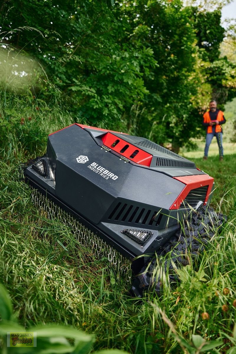 Motormäher des Typs Sonstige Bluebird FM24-70 Raupenmulcher mit Funk, Neumaschine in Kötschach (Bild 8)