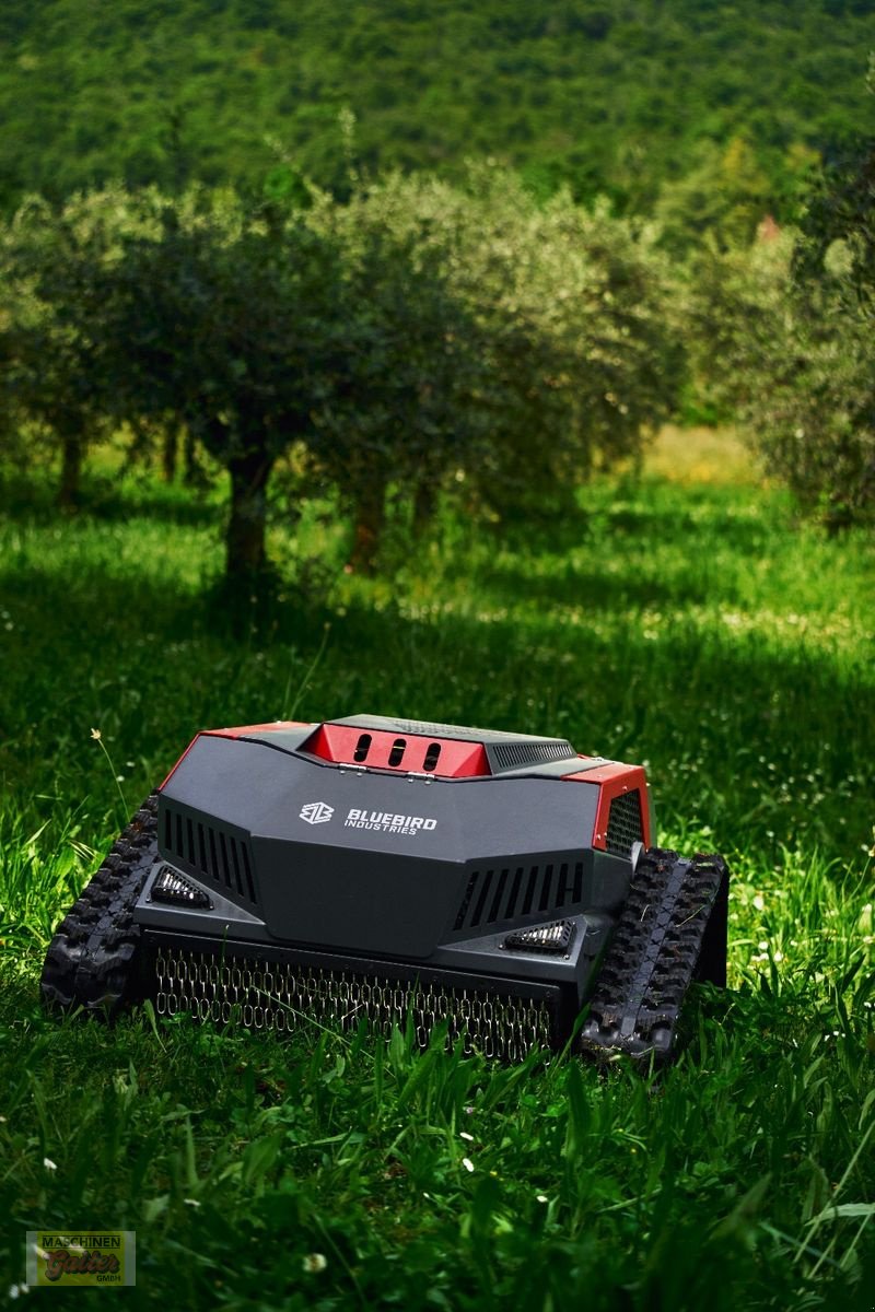 Motormäher des Typs Sonstige Bluebird FM24-70 Raupenmulcher mit Funk, Neumaschine in Kötschach (Bild 12)