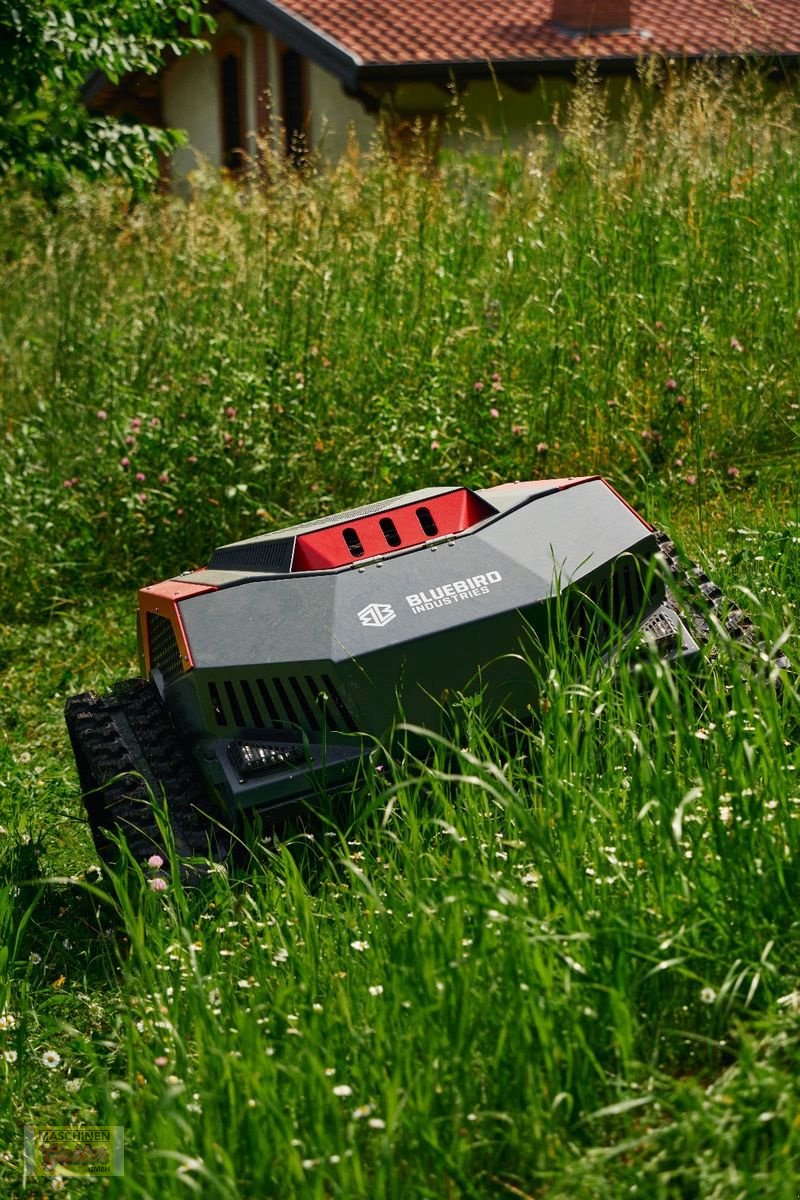 Motormäher des Typs Sonstige Bluebird FM24-70 Raupenmulcher mit Funk, Neumaschine in Kötschach (Bild 11)