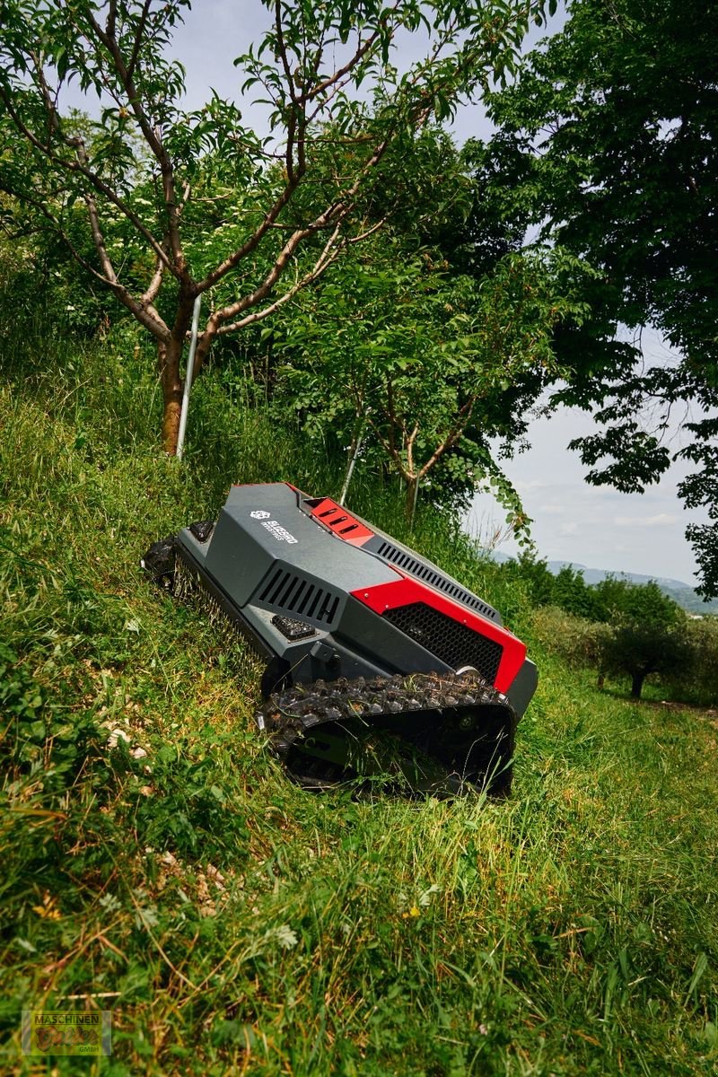 Motormäher des Typs Sonstige Bluebird FM24-70 Raupenmulcher mit Funk, Neumaschine in Kötschach (Bild 9)