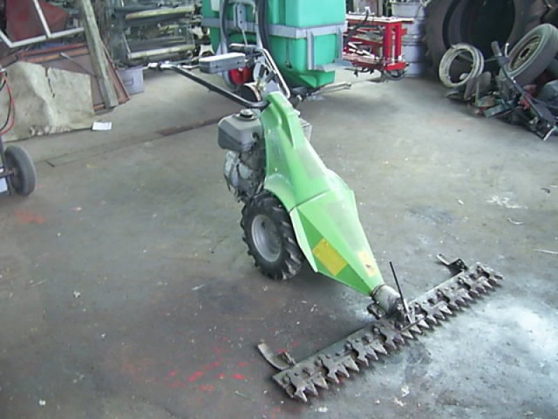 Motormäher typu Sonstige Casorzo Motormäher P 150, Gebrauchtmaschine v Kremsmünster (Obrázek 1)