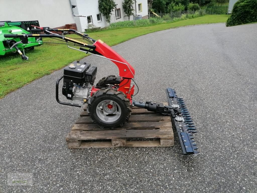 Motormäher des Typs Sonstige Gutbrod Maxi F 130B, Neumaschine in Bad Leonfelden (Bild 1)