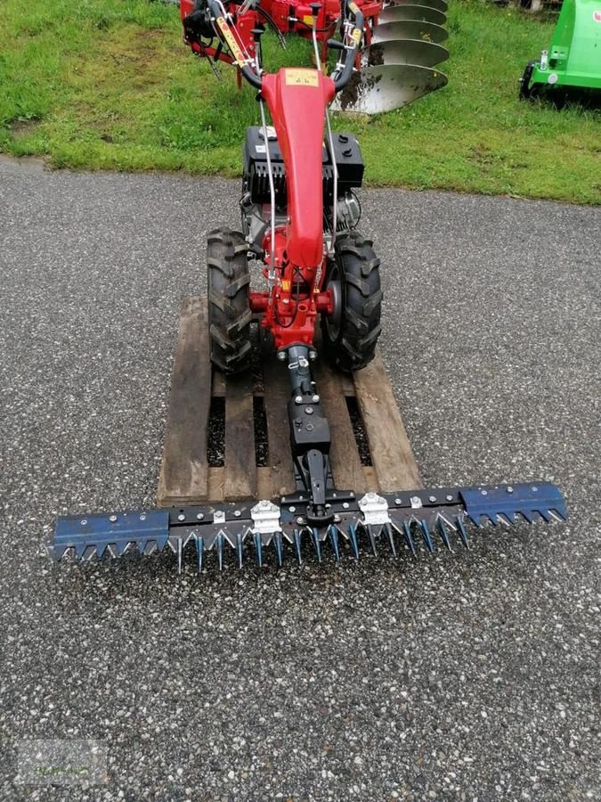 Motormäher des Typs Sonstige Gutbrod Maxi F 130B, Neumaschine in Bad Leonfelden (Bild 4)