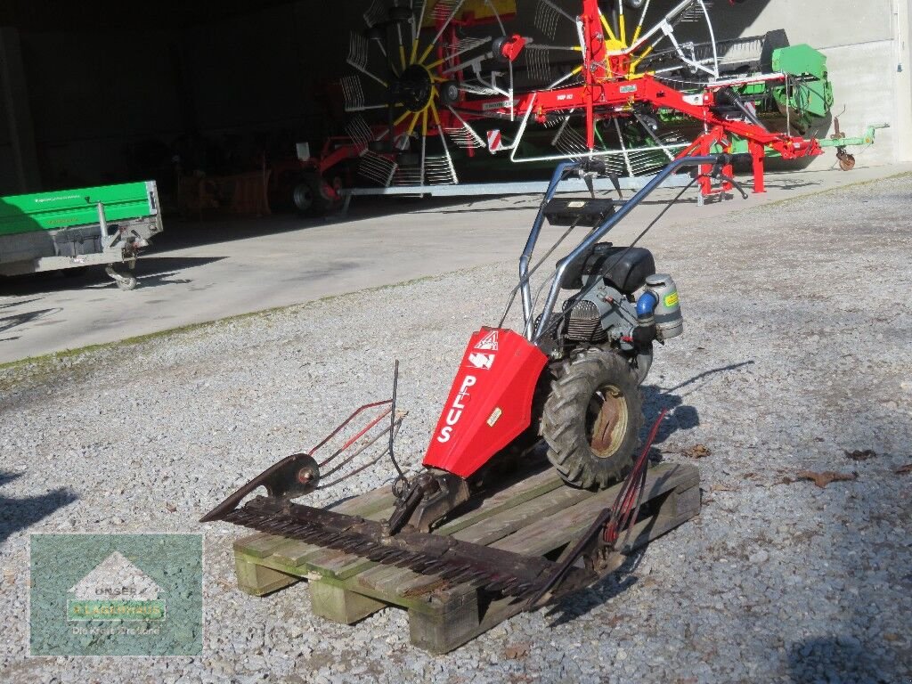 Motormäher del tipo Sonstige Plus, Gebrauchtmaschine In Hofkirchen (Immagine 1)