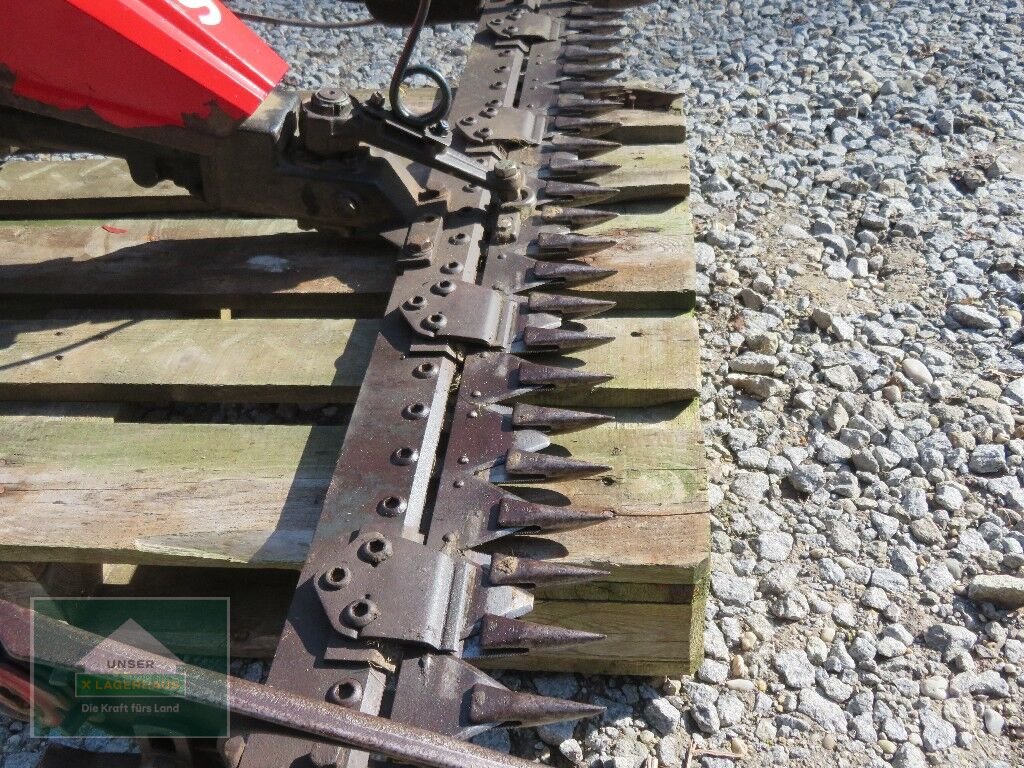 Motormäher del tipo Sonstige Plus, Gebrauchtmaschine In Hofkirchen (Immagine 10)