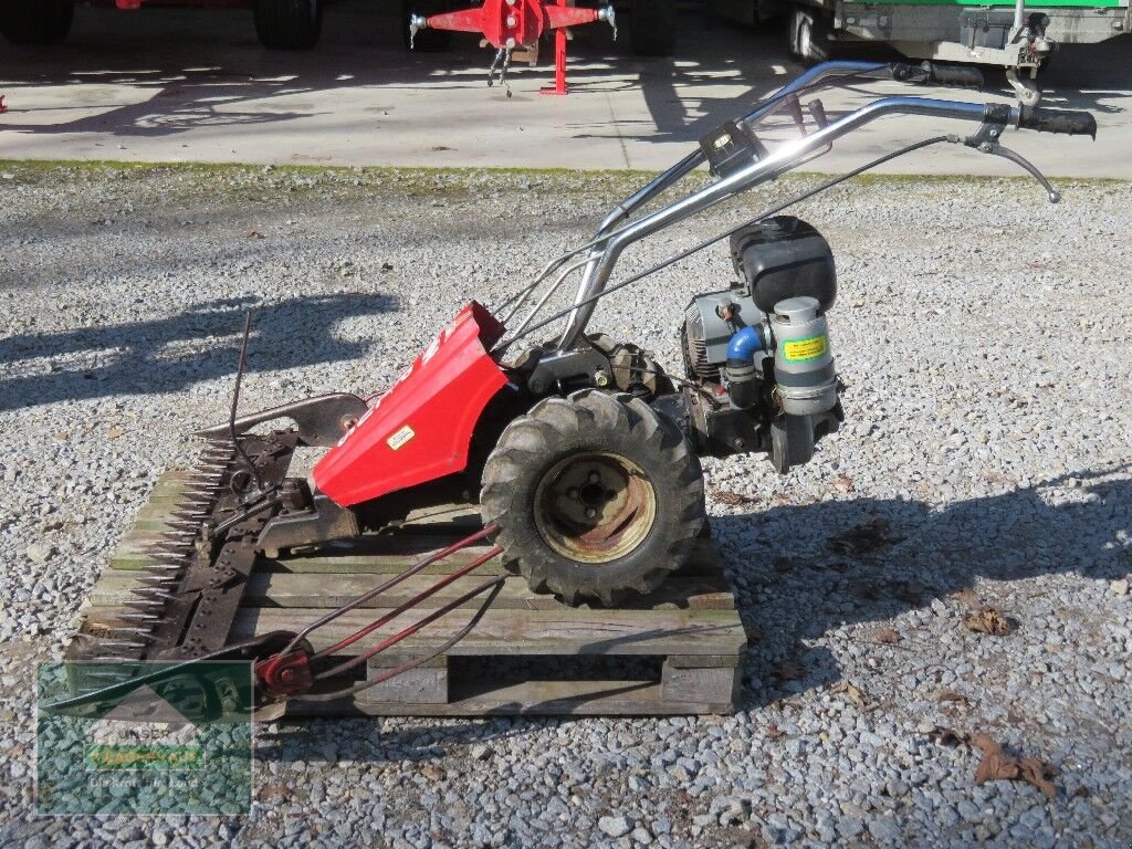 Motormäher del tipo Sonstige Plus, Gebrauchtmaschine In Hofkirchen (Immagine 4)