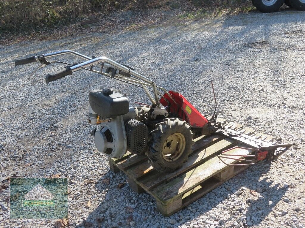 Motormäher del tipo Sonstige Plus, Gebrauchtmaschine In Hofkirchen (Immagine 8)