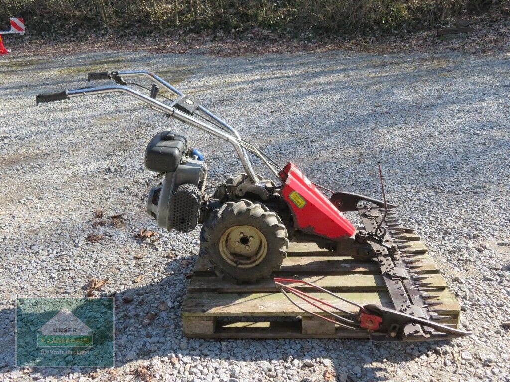 Motormäher del tipo Sonstige Plus, Gebrauchtmaschine In Hofkirchen (Immagine 9)