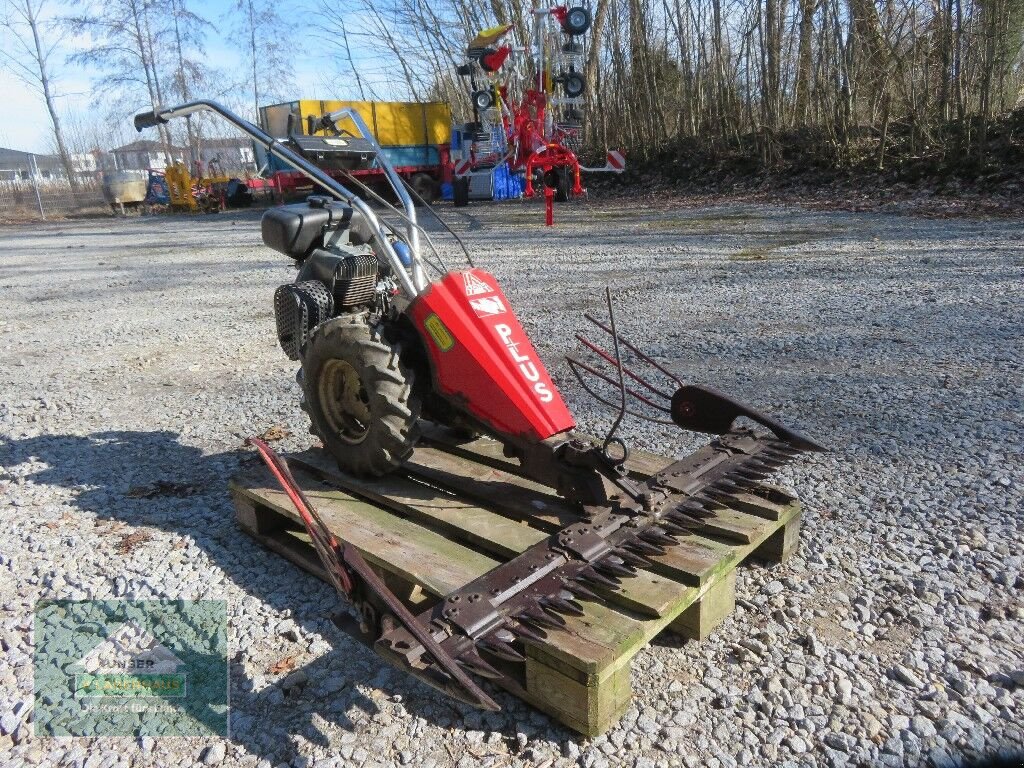 Motormäher del tipo Sonstige Plus, Gebrauchtmaschine In Hofkirchen (Immagine 2)