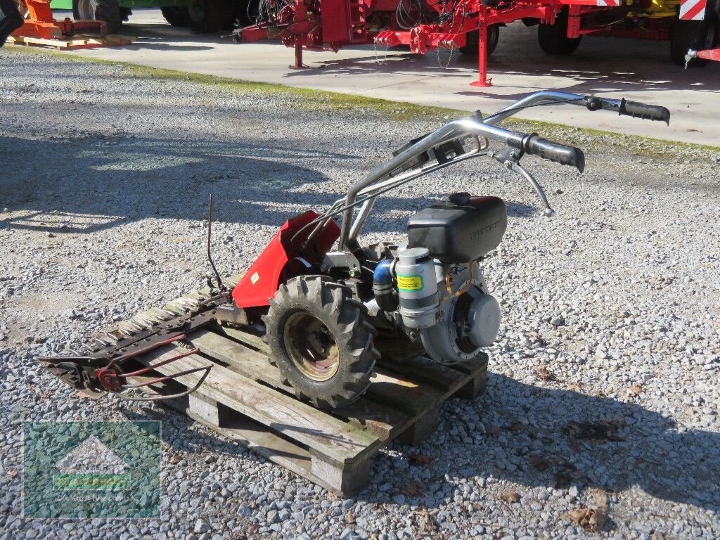 Motormäher del tipo Sonstige Plus, Gebrauchtmaschine In Hofkirchen (Immagine 5)