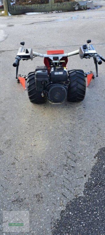 Motormäher Türe ait Sonstige REFORM M3D, Gebrauchtmaschine içinde Amstetten (resim 3)