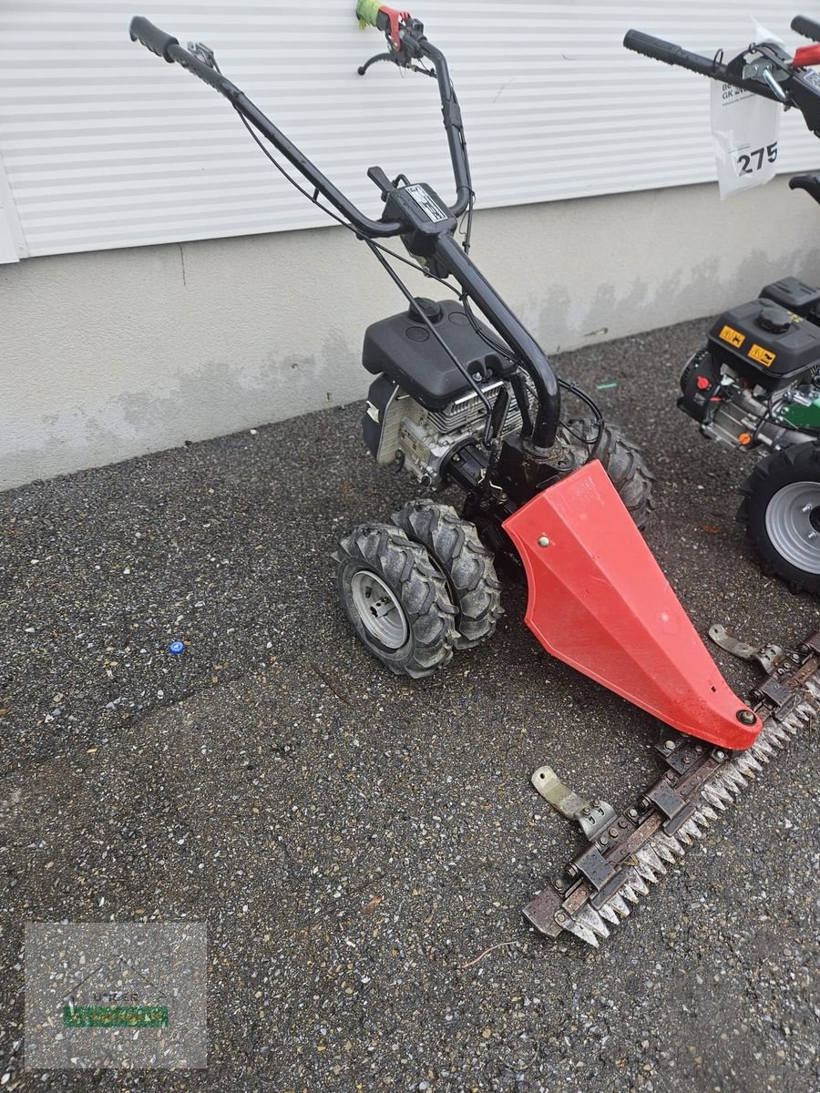 Motormäher of the type Vogel & Noot Vogel&Noot Plus FG4, Gebrauchtmaschine in Gleisdorf (Picture 3)