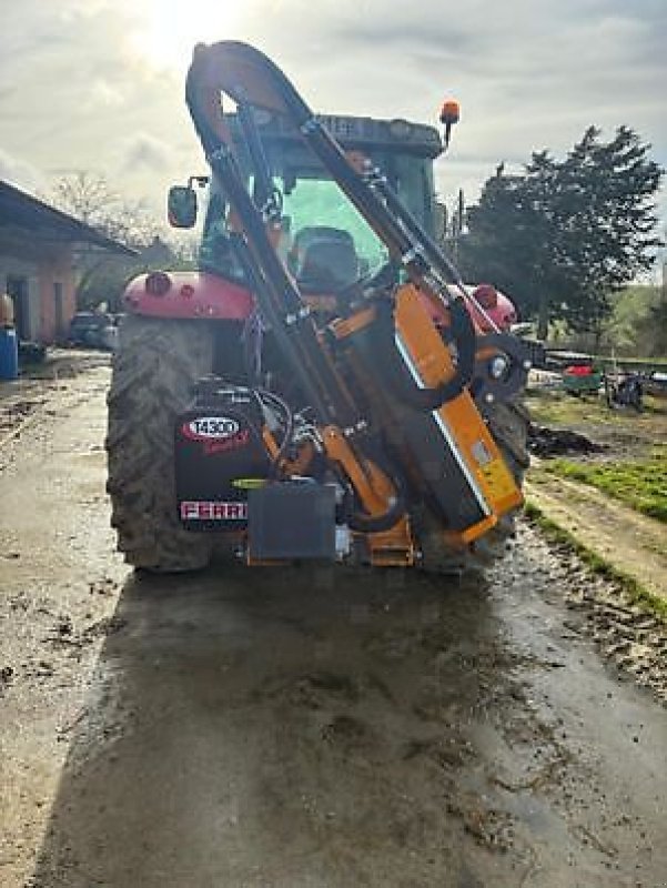 Motorsense типа Ferri T430D, Gebrauchtmaschine в Revel (Фотография 1)