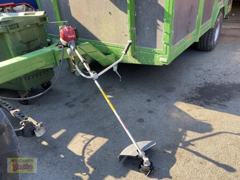 Motorsense типа Honda UMK 425 UEET, Vorführmaschine в Kötschach (Фотография 1)