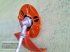 Motorsense του τύπου Stihl FSA 200, Neumaschine σε Gampern (Φωτογραφία 4)
