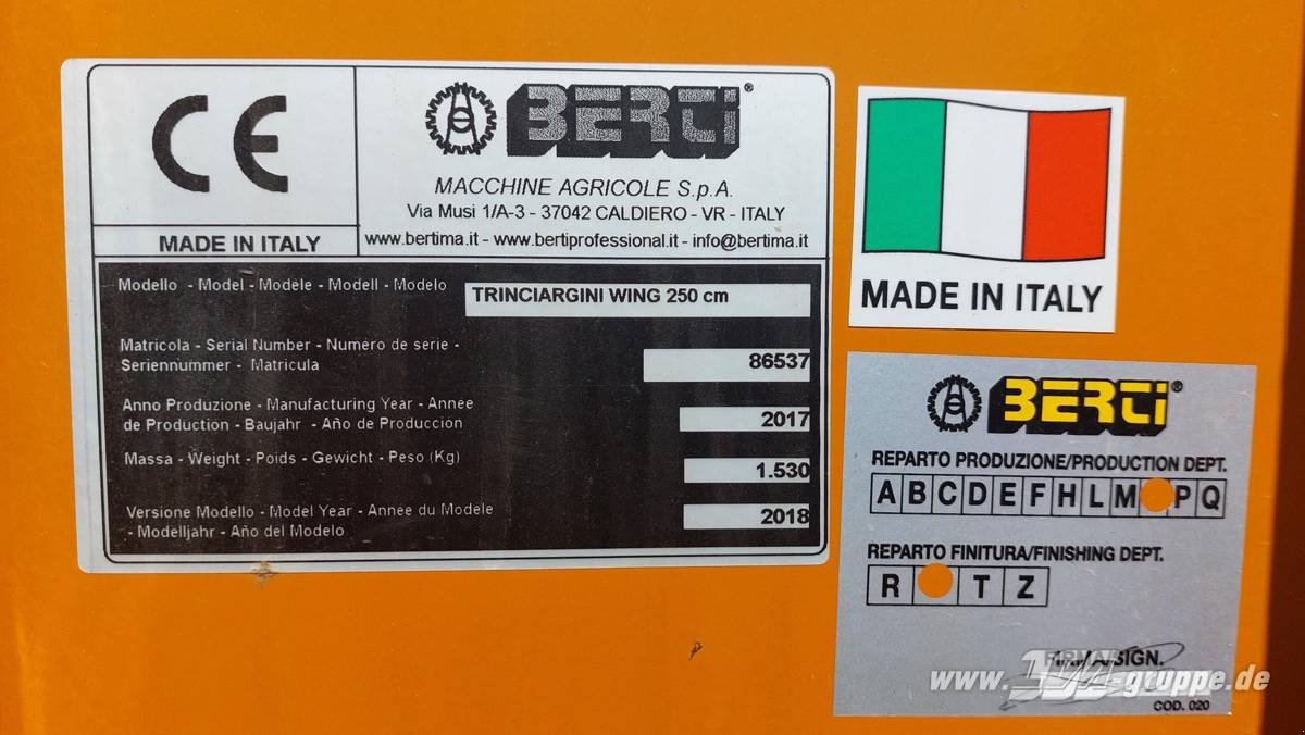 Mulcher typu Berti TRINCIARGINI WING 250, Gebrauchtmaschine v Schöppenstedt (Obrázok 6)