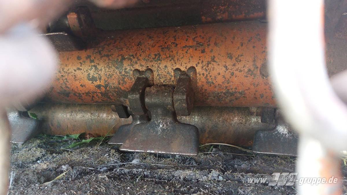 Mulcher typu Berti TRINCIARGINI WING 250, Gebrauchtmaschine v Schöppenstedt (Obrázok 7)