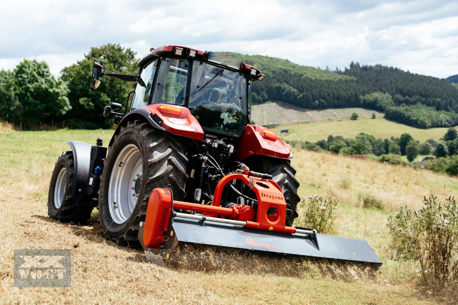 Mulcher del tipo DRAGONE VL 240 FARMERS EDITION Schlegelmulcher für Traktor-Vorführgerät-, Gebrauchtmaschine In Schmallenberg (Immagine 15)