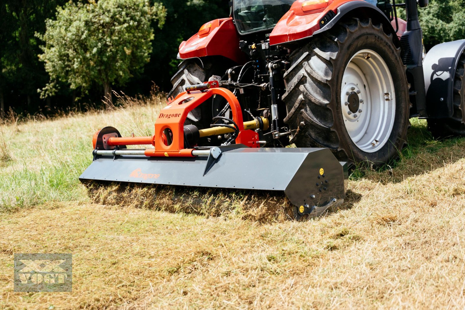 Mulcher del tipo DRAGONE VL 240 FARMERS EDITION Schlegelmulcher für Traktor-Vorführgerät-, Gebrauchtmaschine In Schmallenberg (Immagine 19)