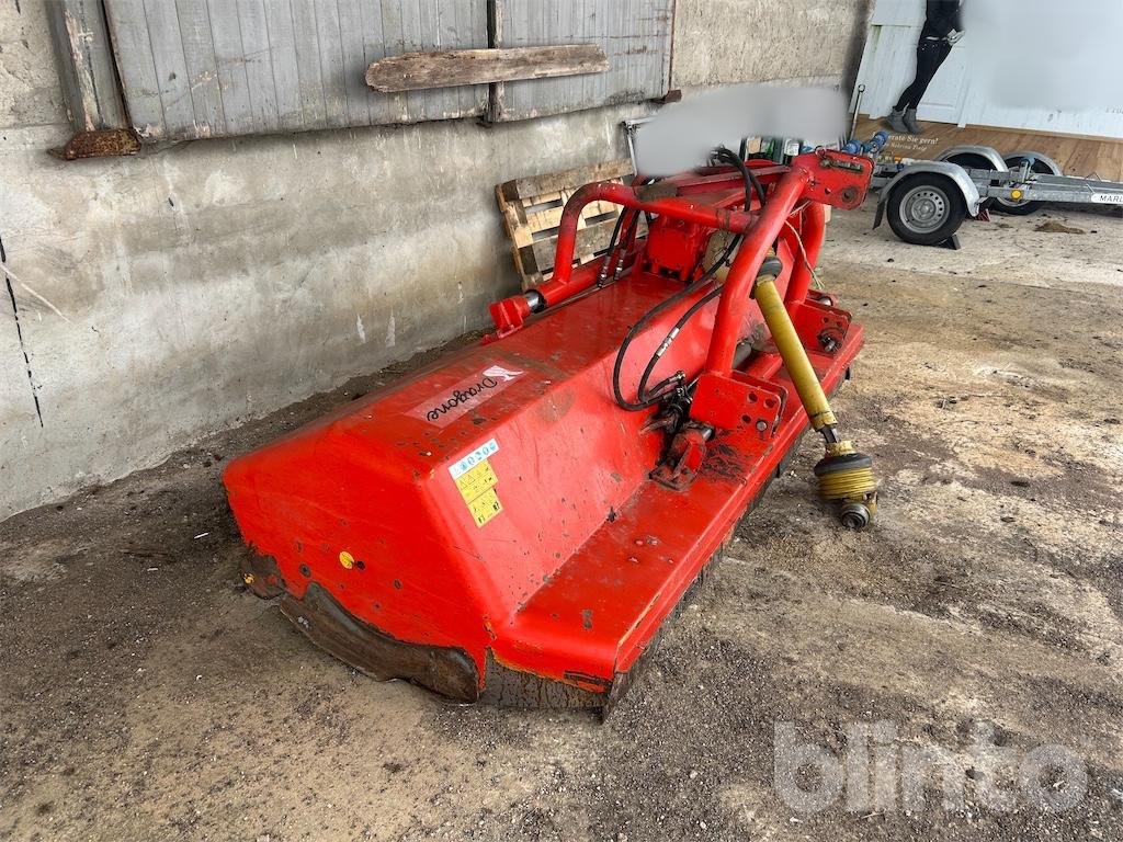 Mulcher Türe ait DRAGONE Vogt 250 U, Gebrauchtmaschine içinde Düsseldorf (resim 1)