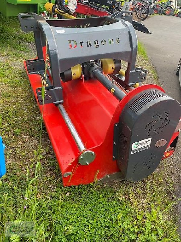 Mulcher Türe ait DRAGONE VP 280, Vorführmaschine içinde Prüm-Dausfeld (resim 4)