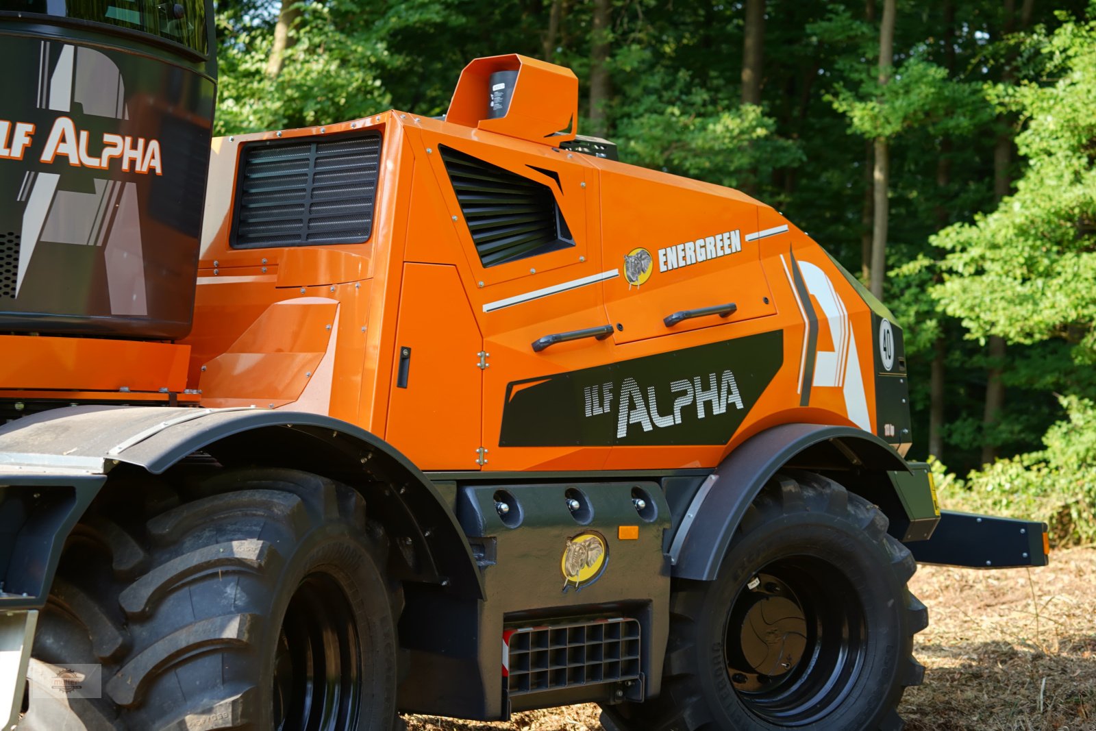 Mulcher typu Energreen ILF Alpha, Gebrauchtmaschine v Kehrig (Obrázek 12)