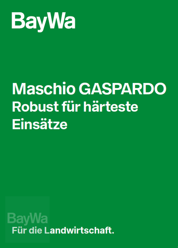 Mulcher Türe ait Maschio GASPARDO Schlegelmulcher BRAVA 250, Neumaschine içinde Jengen (resim 2)