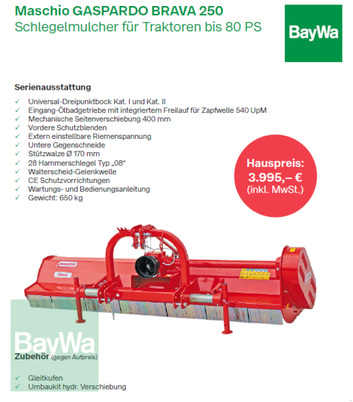 Mulcher Türe ait Maschio GASPARDO Schlegelmulcher BRAVA 250, Neumaschine içinde Jengen (resim 3)