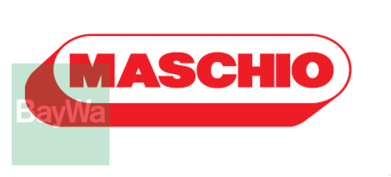 Mulcher Türe ait Maschio GASPARDO Schlegelmulcher BRAVA 250, Neumaschine içinde Jengen (resim 4)