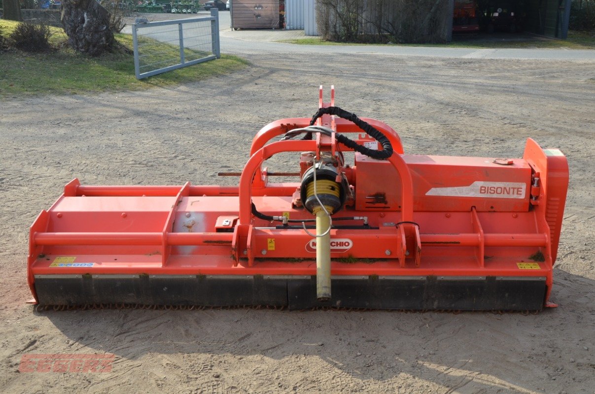 Mulcher du type Maschio Bisonte 280, Gebrauchtmaschine en Suhlendorf (Photo 3)