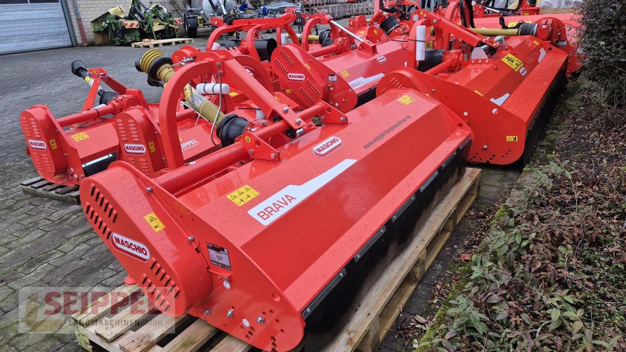 Mulcher типа Maschio Brava 200, Neumaschine в Groß-Umstadt (Фотография 5)