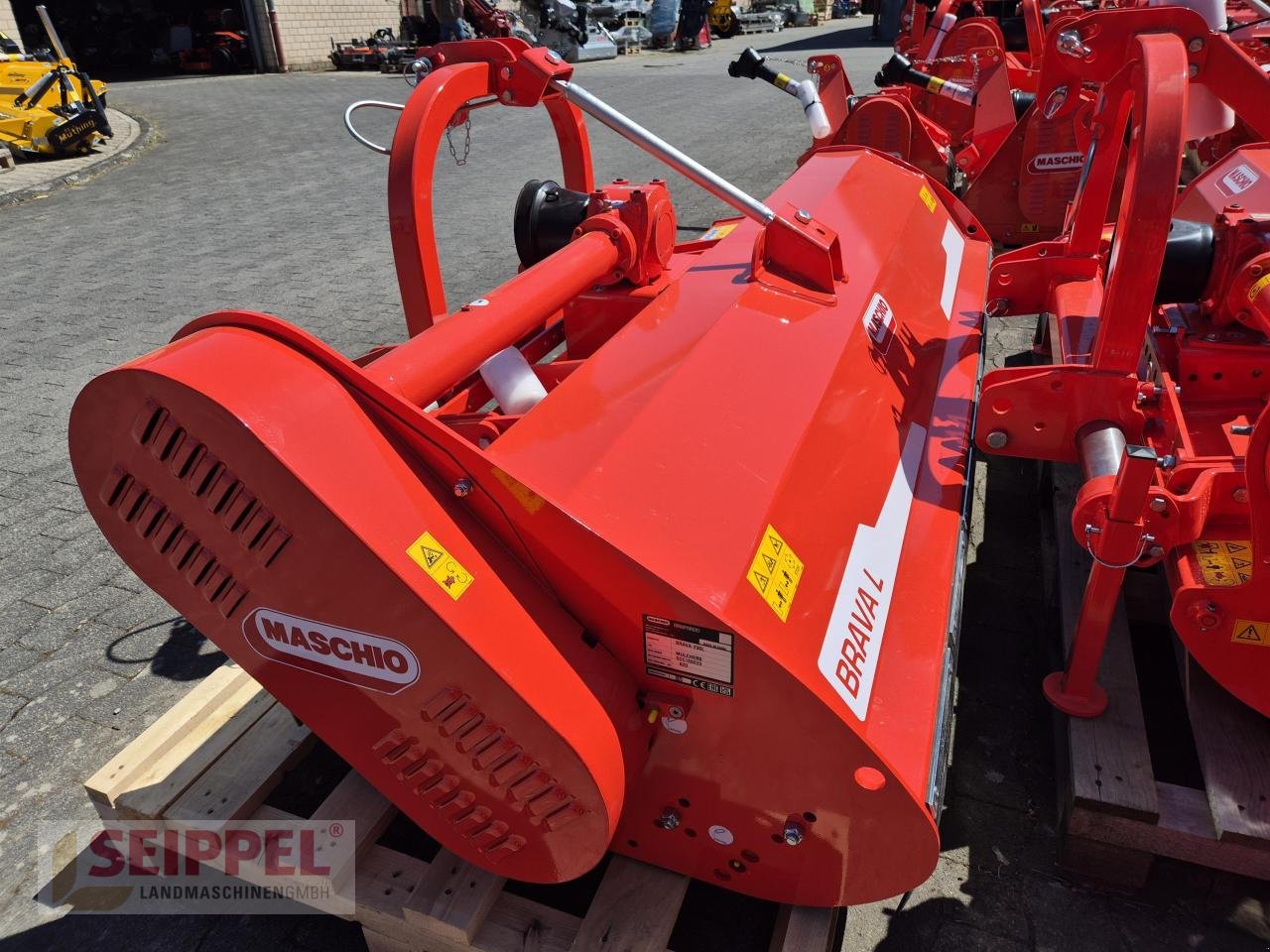 Mulcher del tipo Maschio BRAVA 230, Neumaschine In Groß-Umstadt (Immagine 2)