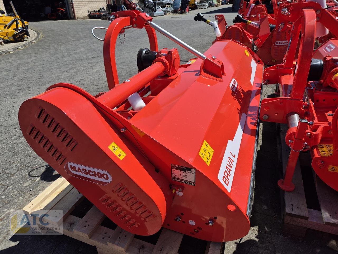 Mulcher des Typs Maschio BRAVA 250 hydr. Seitenverschiebung, Neumaschine in Groß-Gerau (Bild 1)