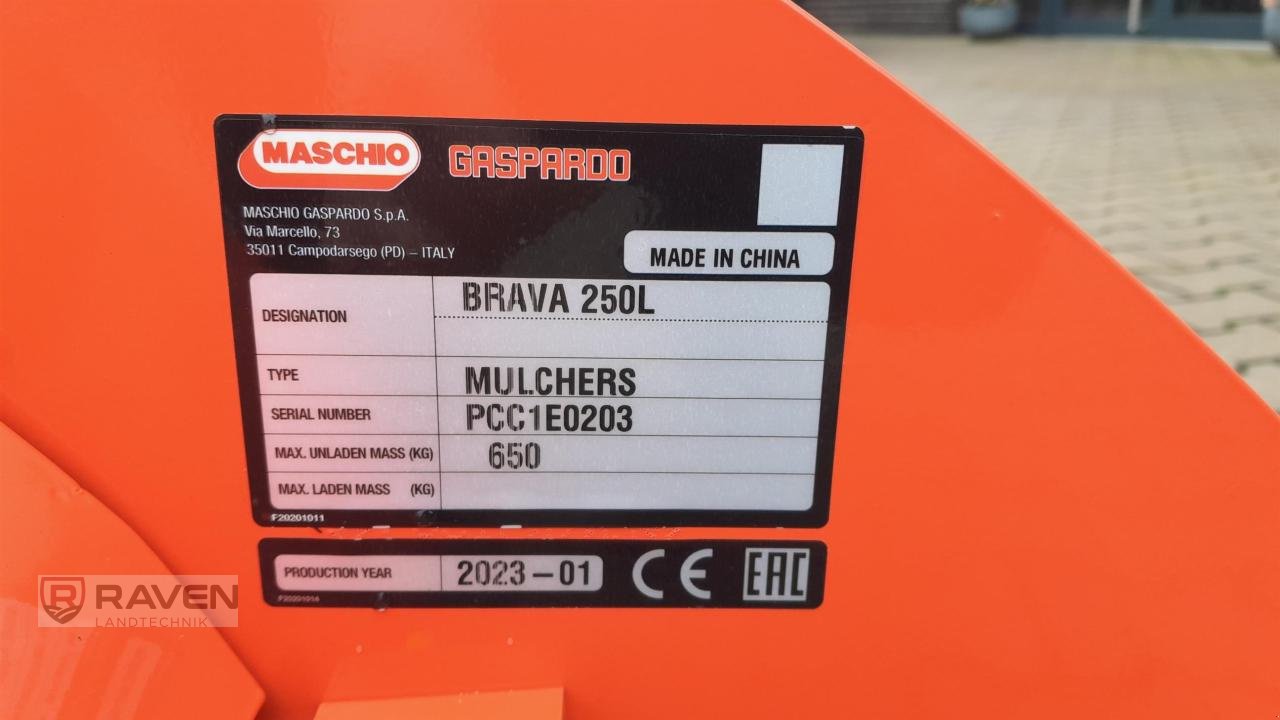 Mulcher des Typs Maschio Brava 250 mech., Neumaschine in Sulingen (Bild 8)