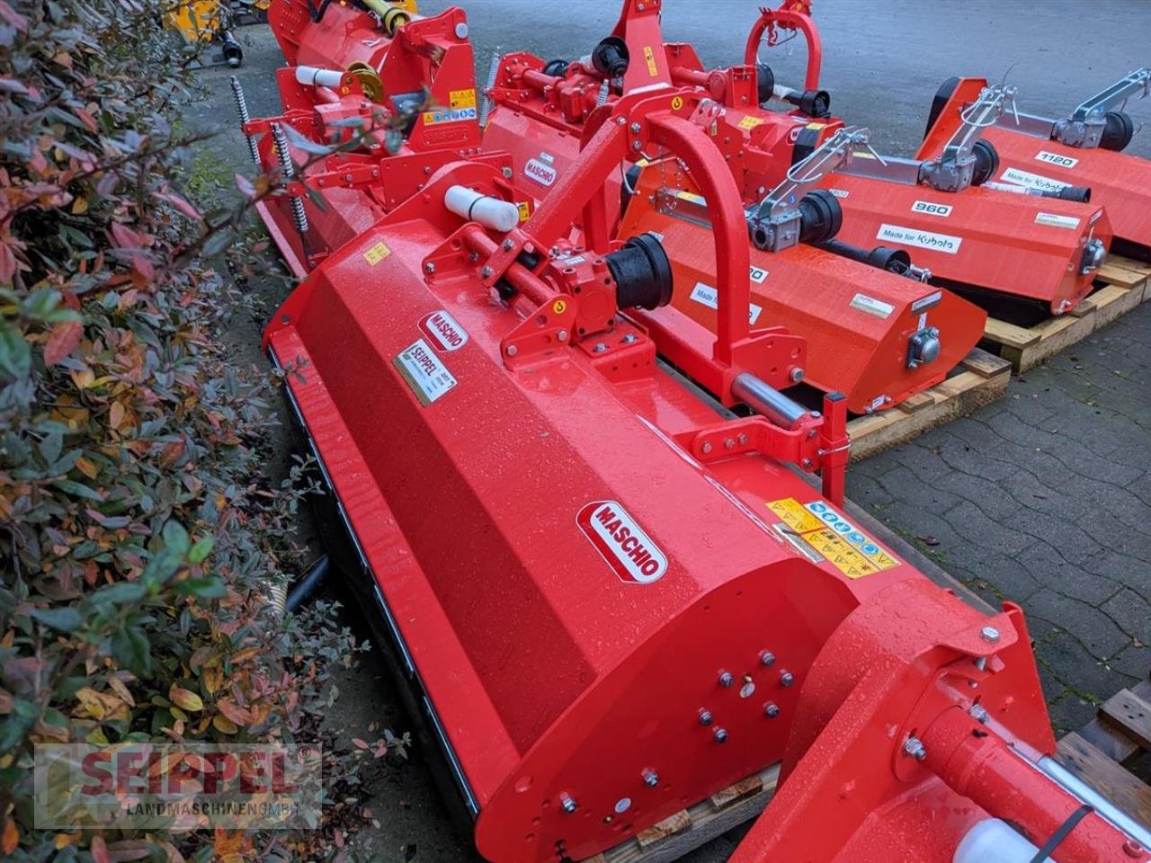 Mulcher tip Maschio BRAVA 250, Neumaschine in Groß-Umstadt (Poză 1)