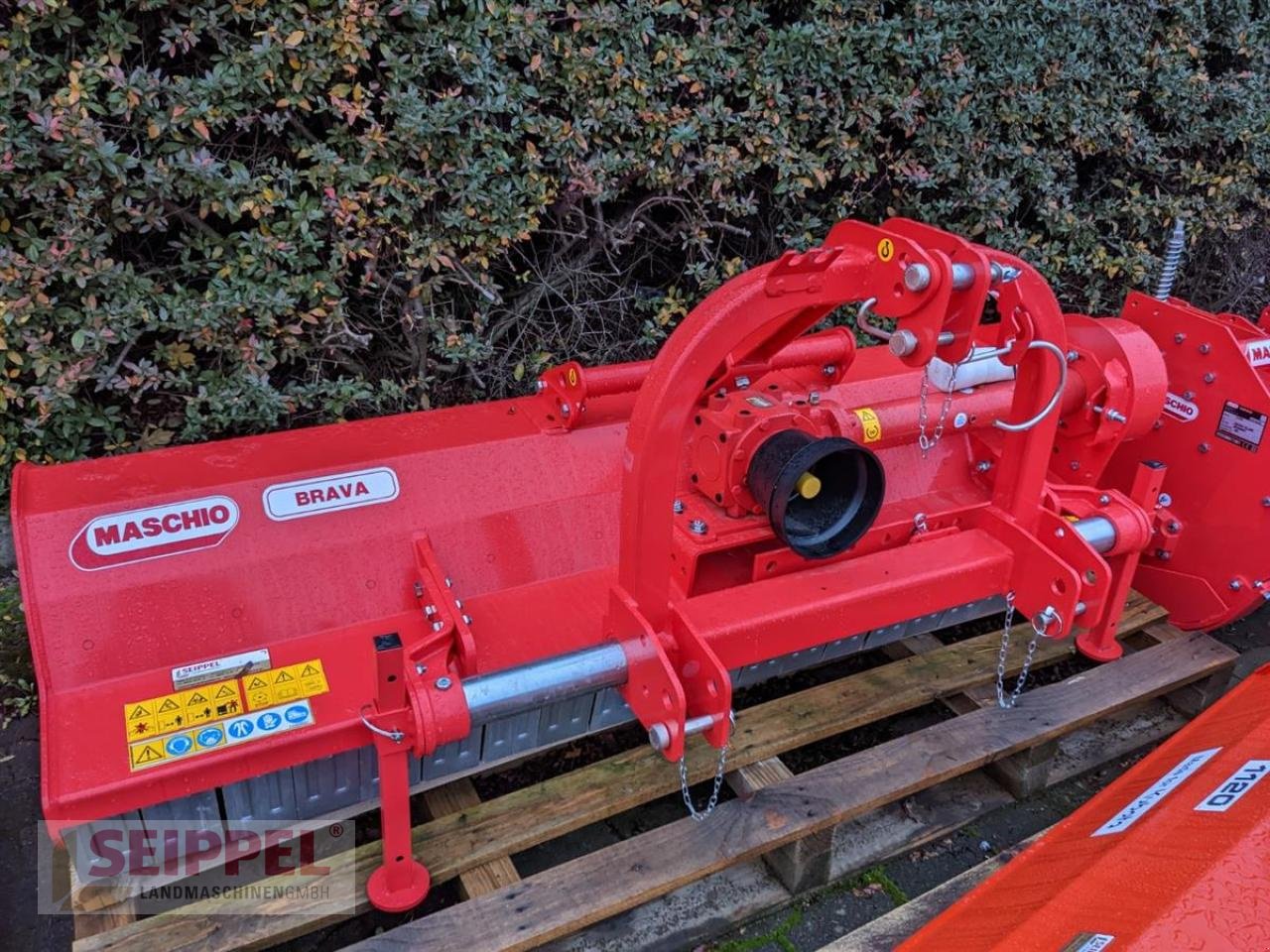 Mulcher des Typs Maschio BRAVA 250, Neumaschine in Groß-Umstadt (Bild 2)